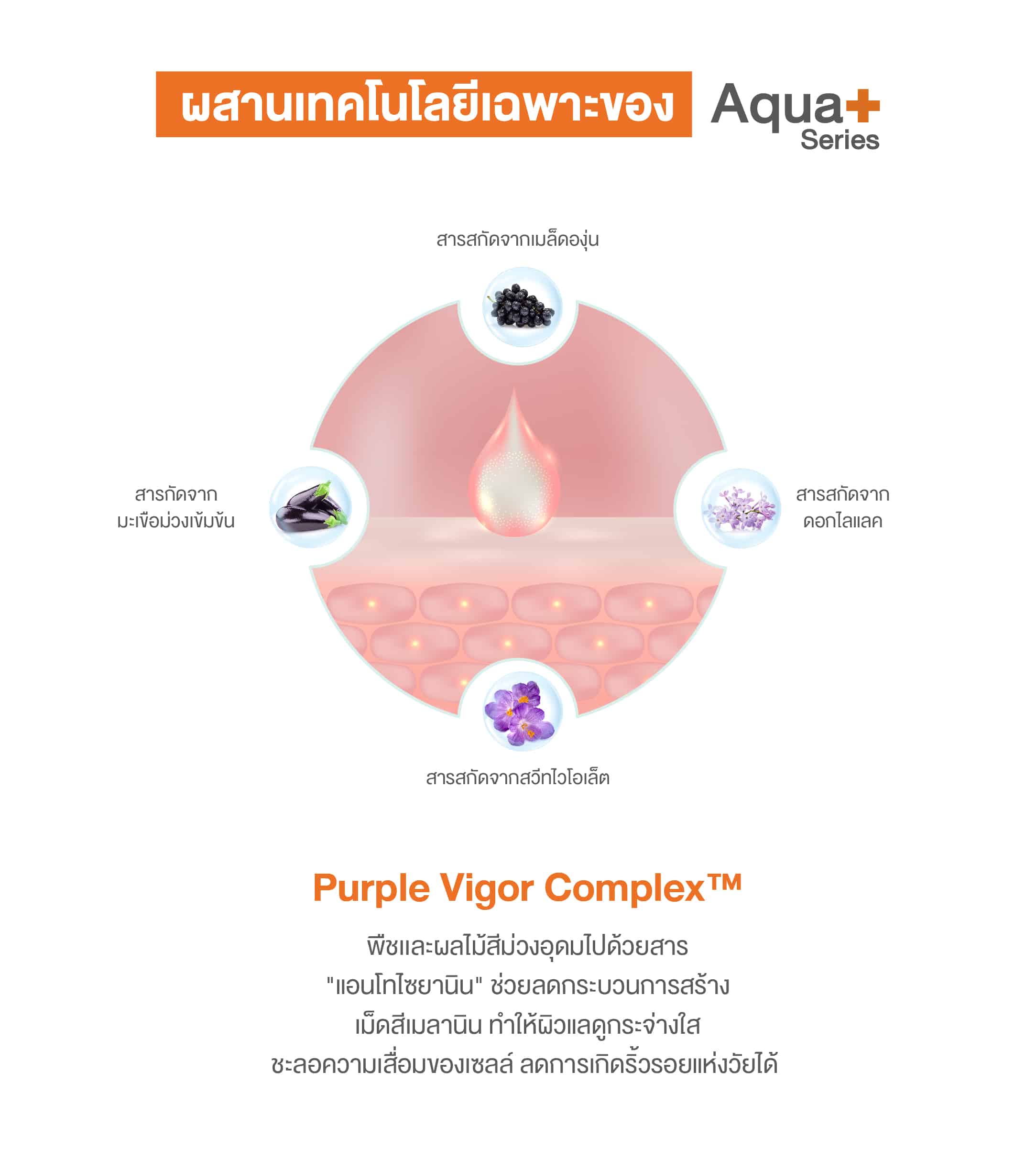 Invigorating Firming Ampoule แอมพูลเข้มข้น ยกกระชับผิวหน้า ลดเลือนริ้วรอย – 30 ml.